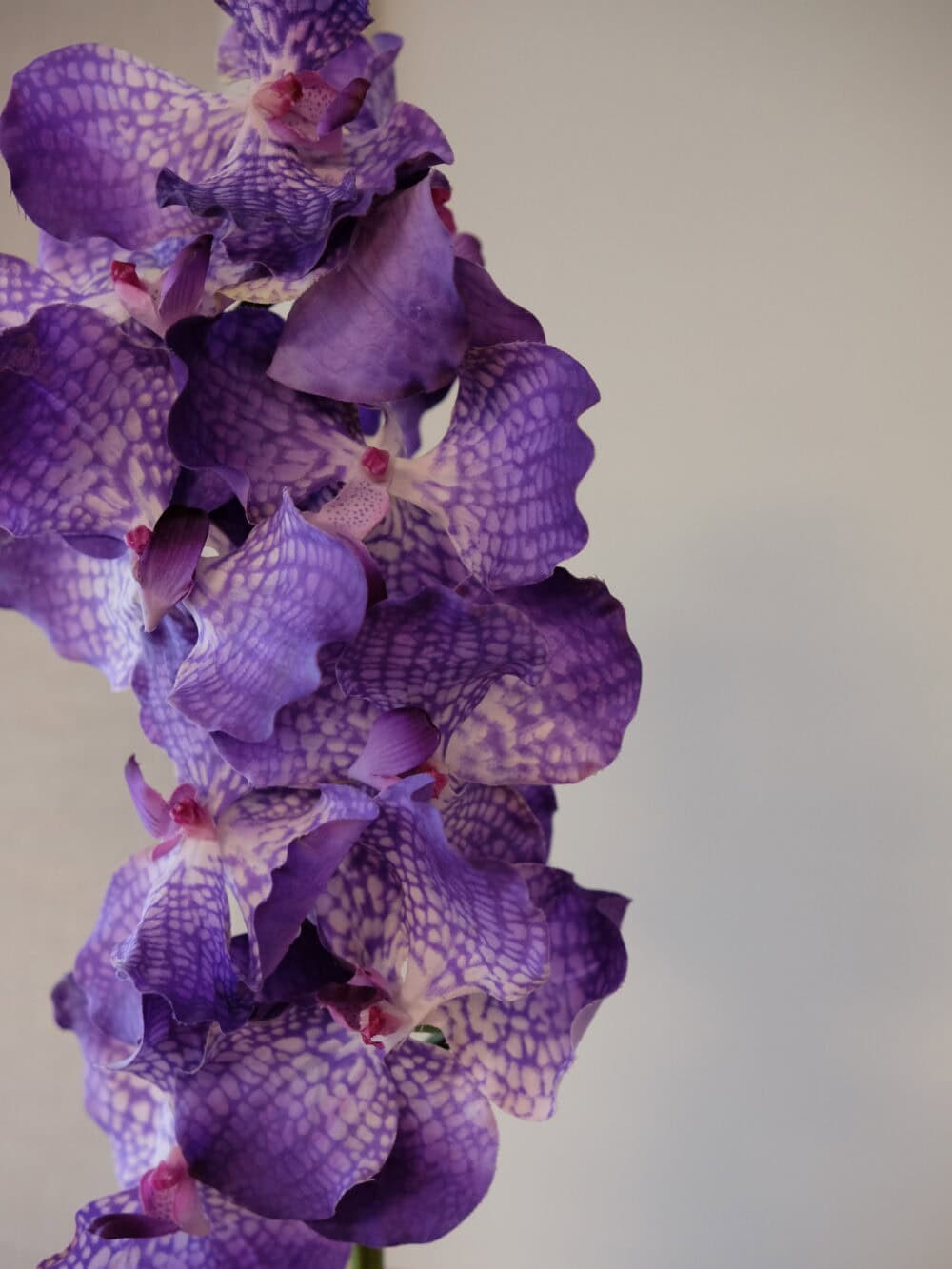 Kunst vanda