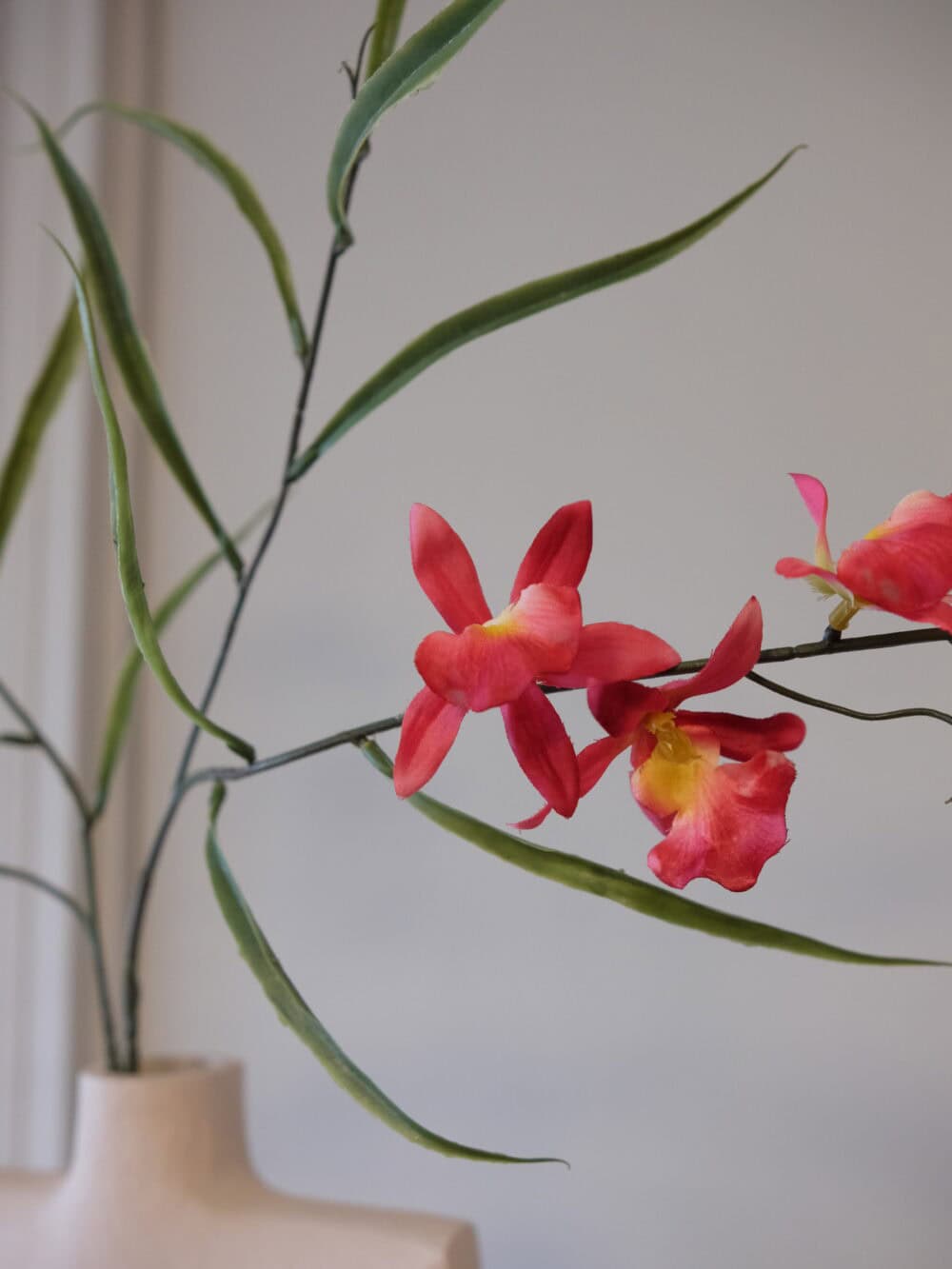 Orchidee roze