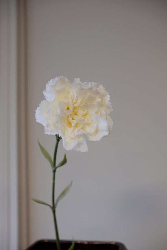 Kunstbloem anjer wit 67 cm