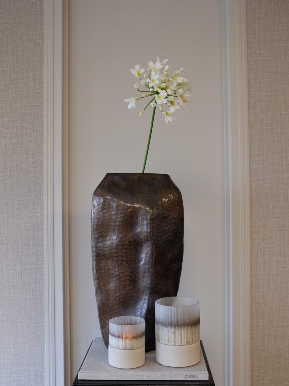 Agapanthus wit