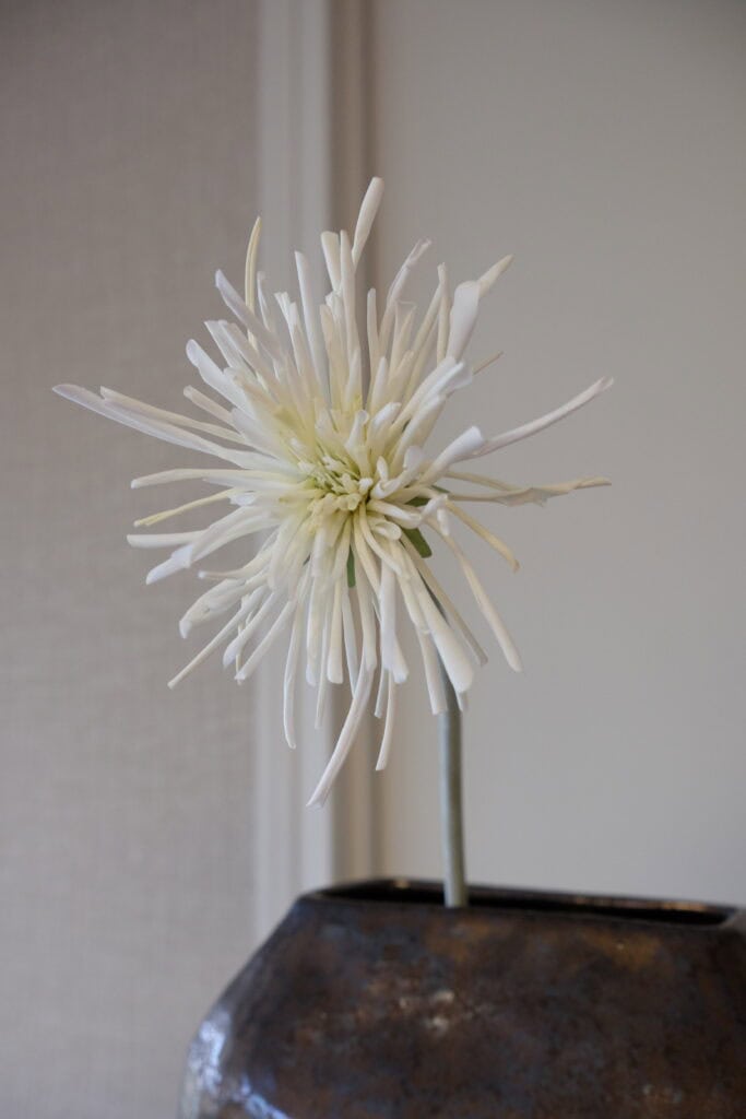 Spider Gerbera wit 60 cm