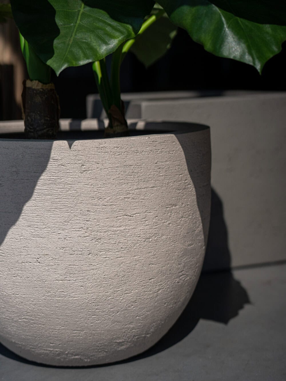 Terreno pot beige
