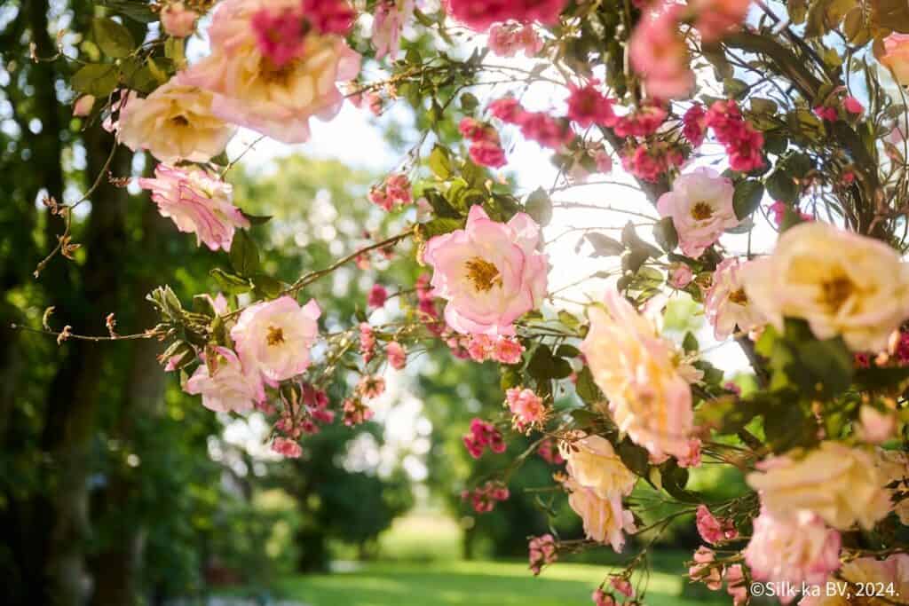 Silkka zijden kunstbloemen