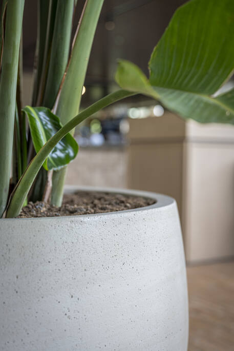 Grote bloempot outdoor Jumbo orb Ø 87 H70 cm