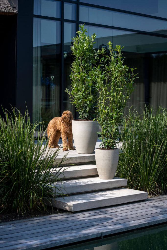 cfa55dcc-b059-4a03-8eb2-6b5a227101da