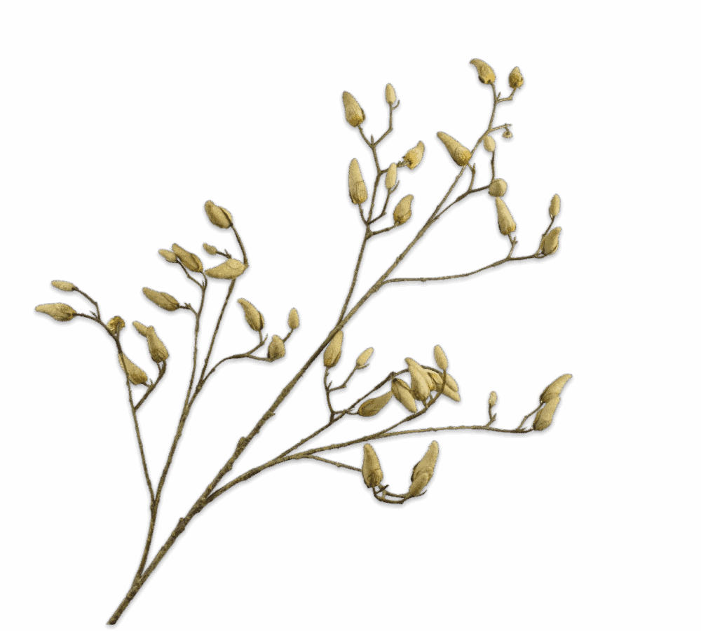 Kunsttak Silkka magnolia