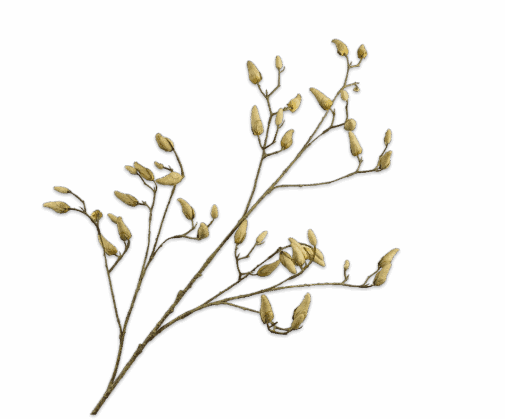 Kunsttak Silkka magnolia