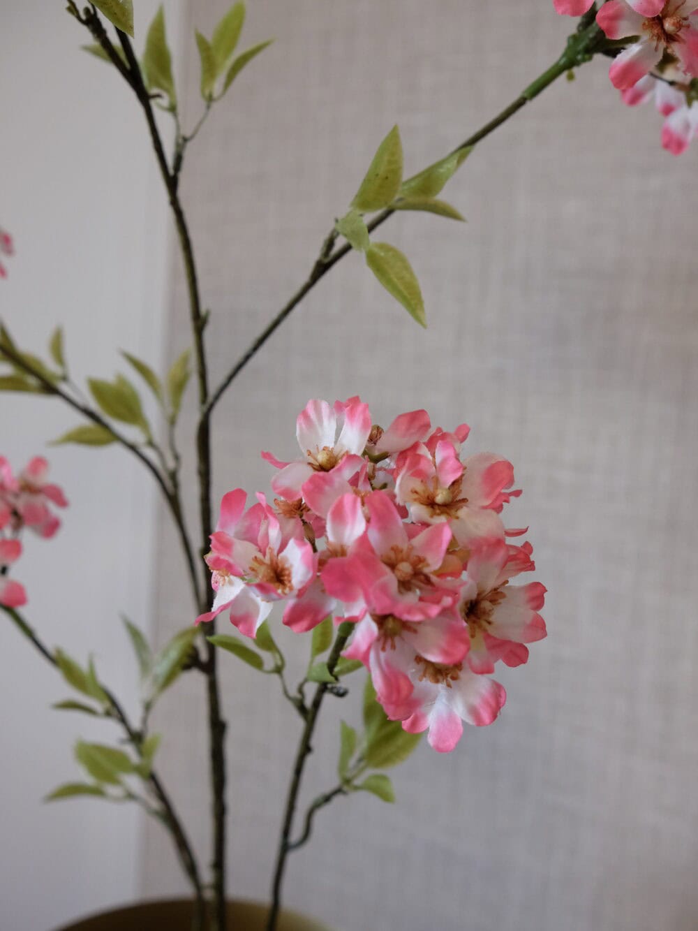 bloesemtak roze