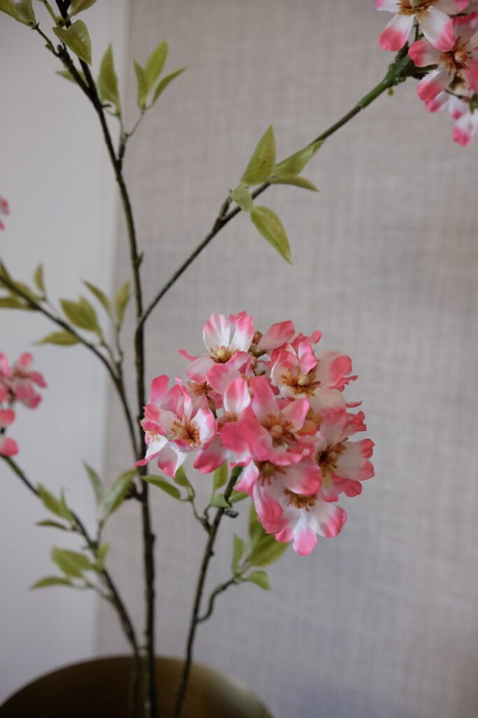 bloesemtak roze