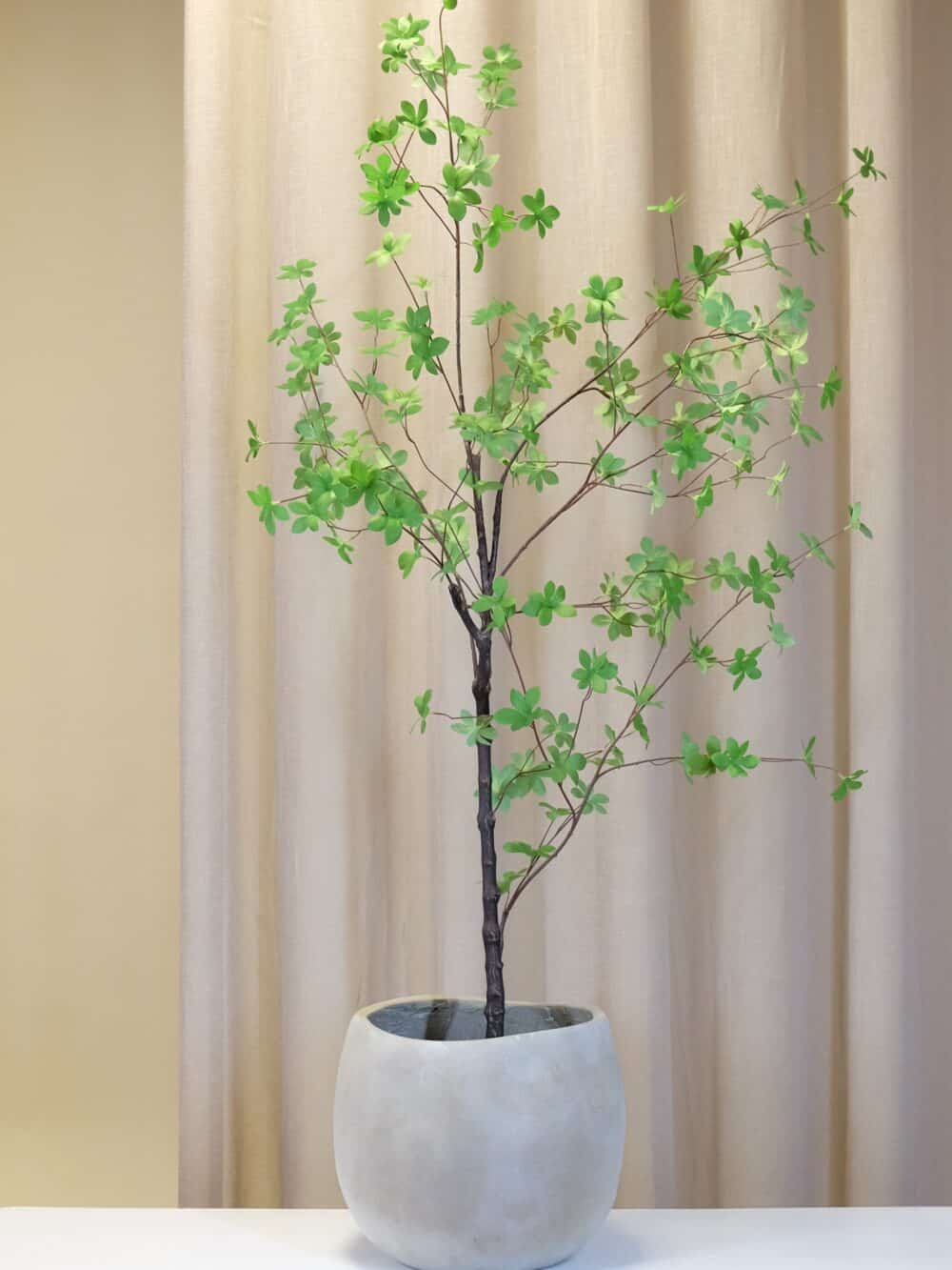 Japandi pot