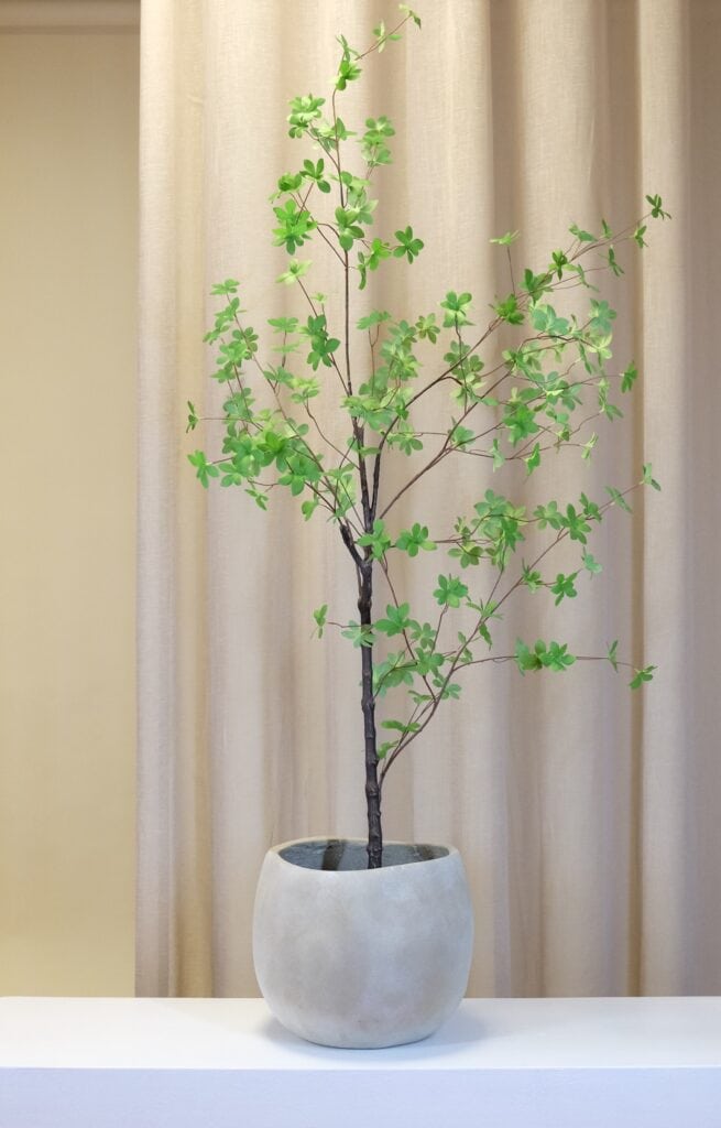 Japandi pot