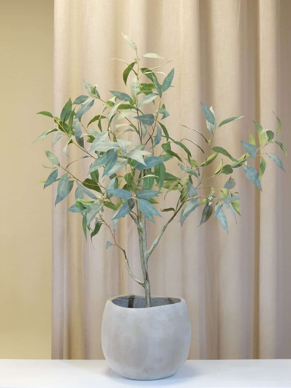 Japandi pot