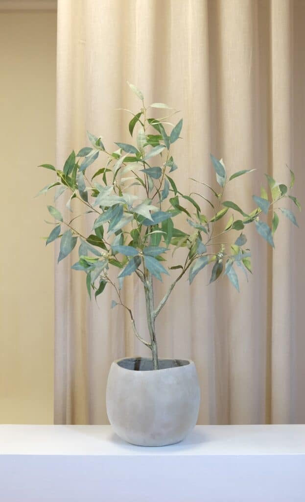 Japandi pot