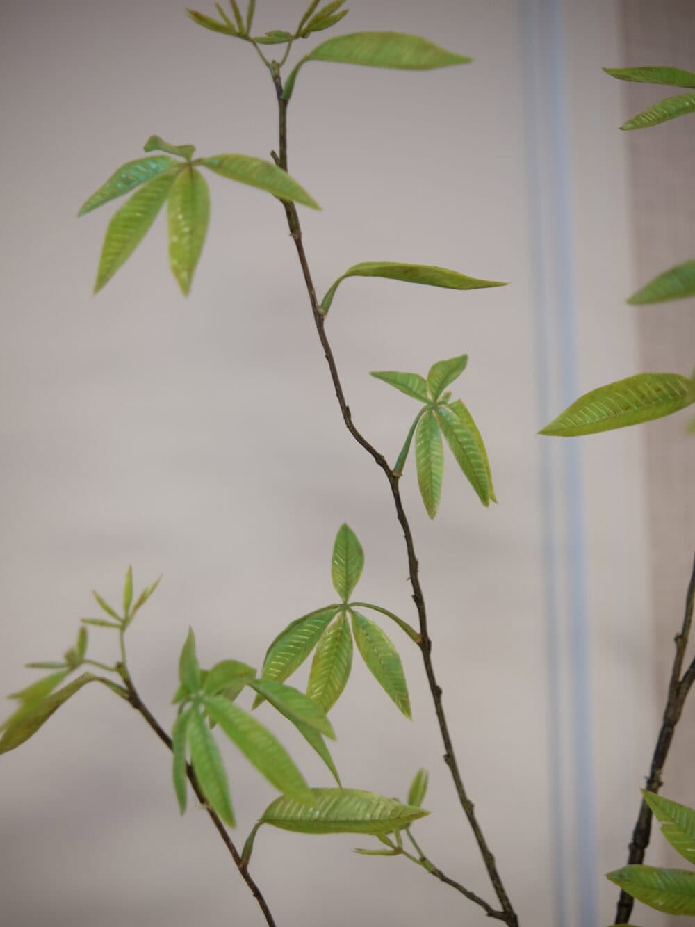 Kunsttak bladtak groen esdoorn Silk-ka 170 cm