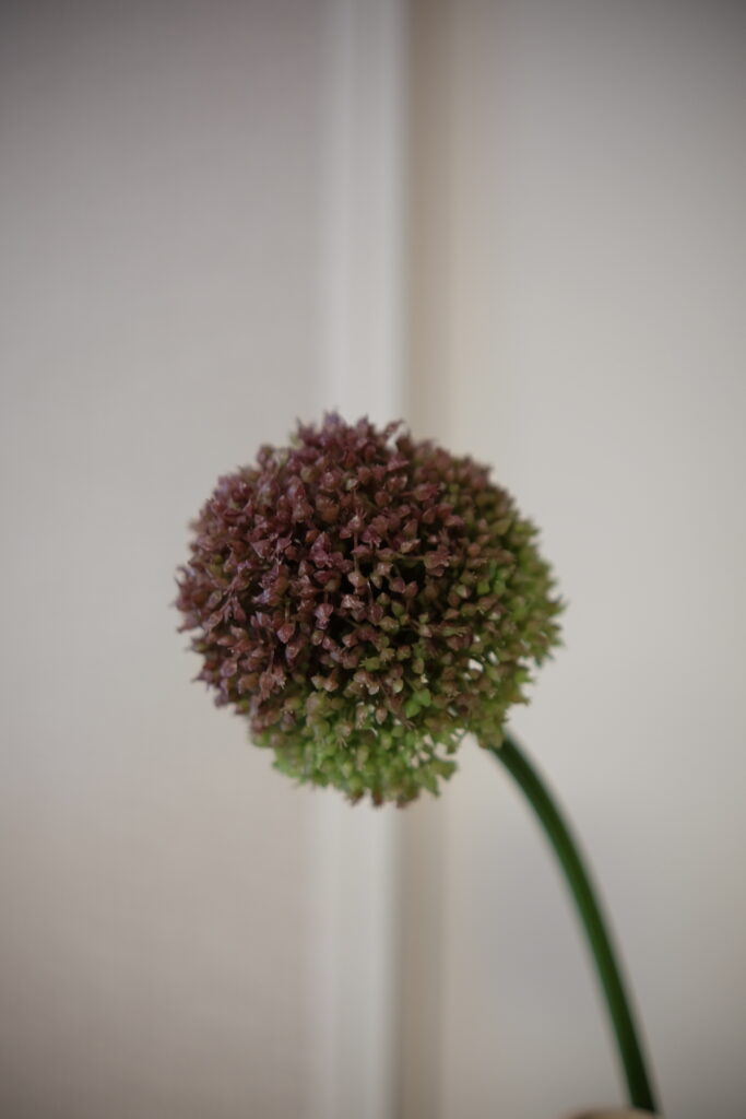 DSCF2990