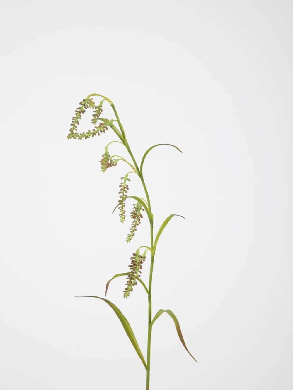 Seed spray kunsttak 90cm