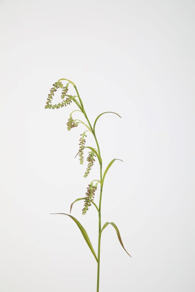 Seed spray kunsttak 90cm