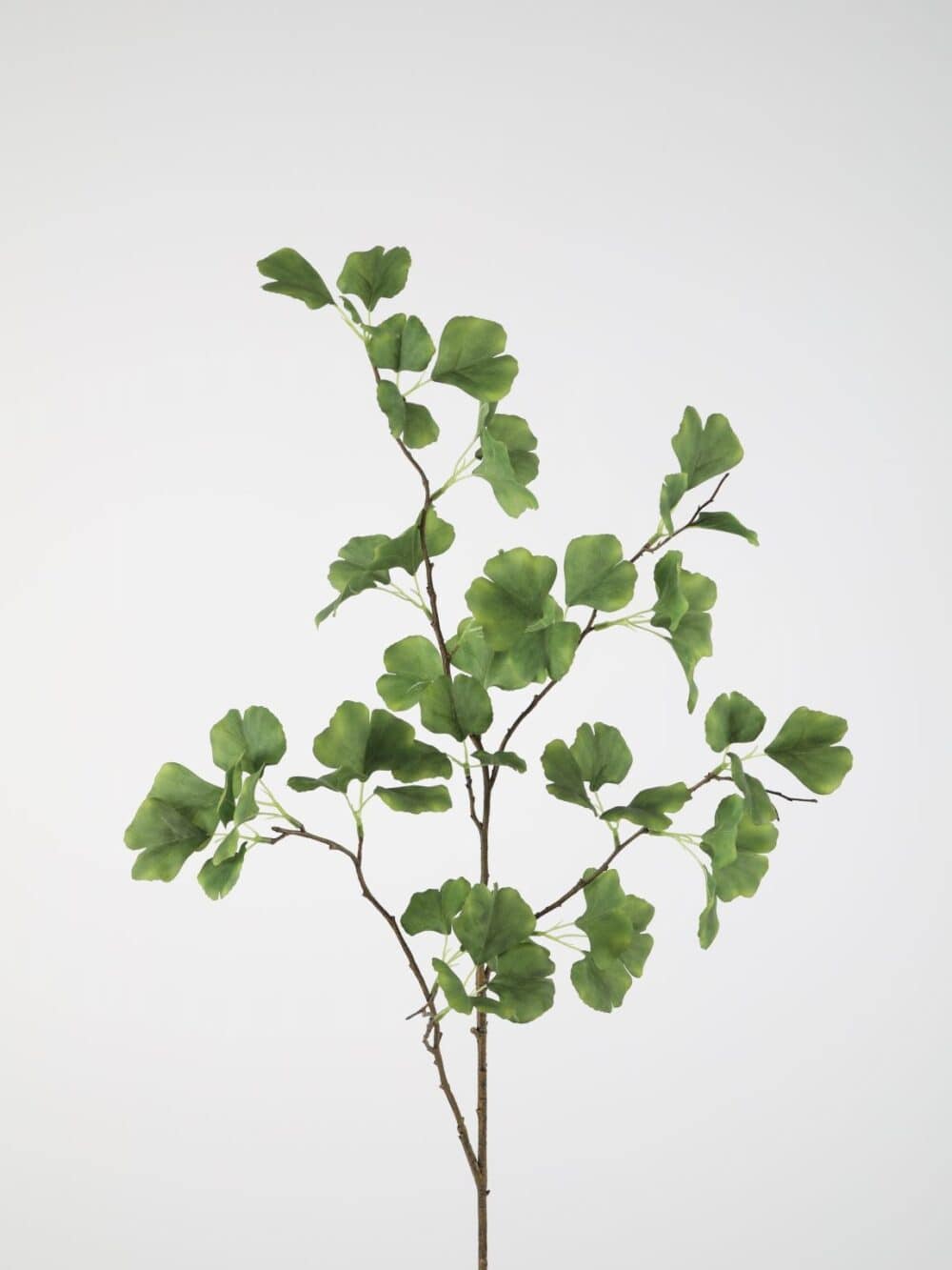 Ginkgo kunsttak blad 100 cm