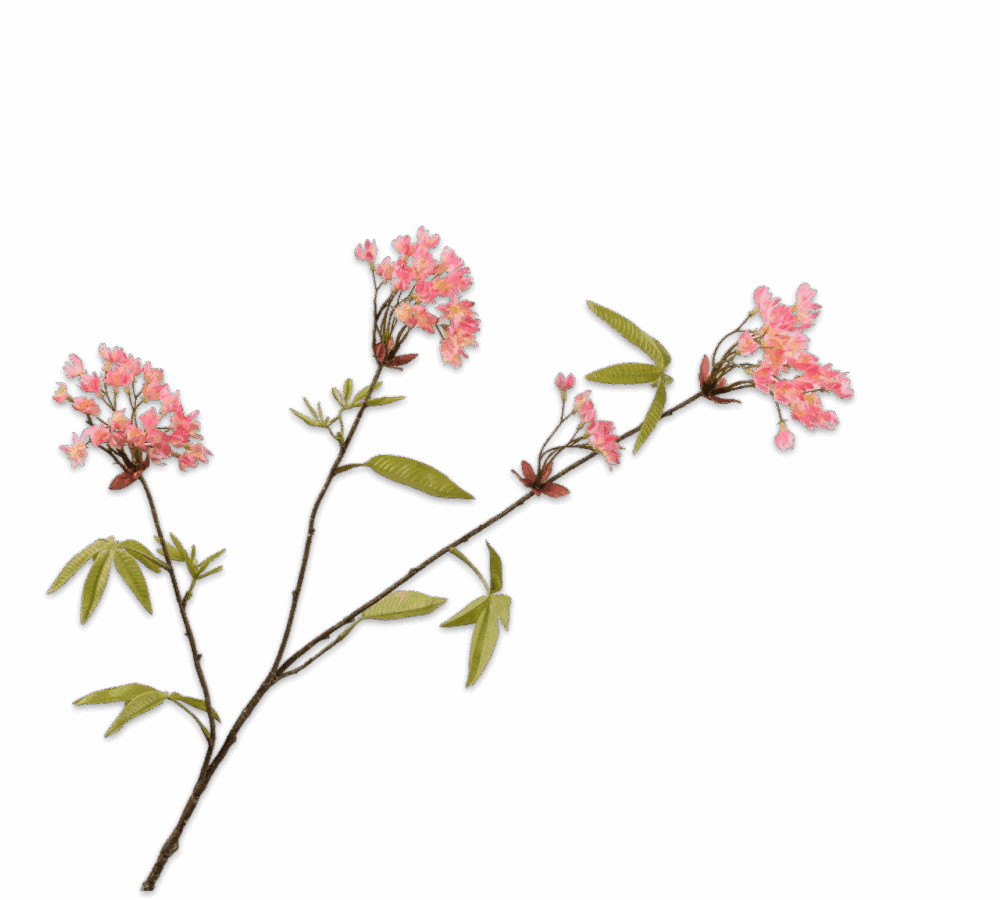 Esdoorntak Silk-ka roze