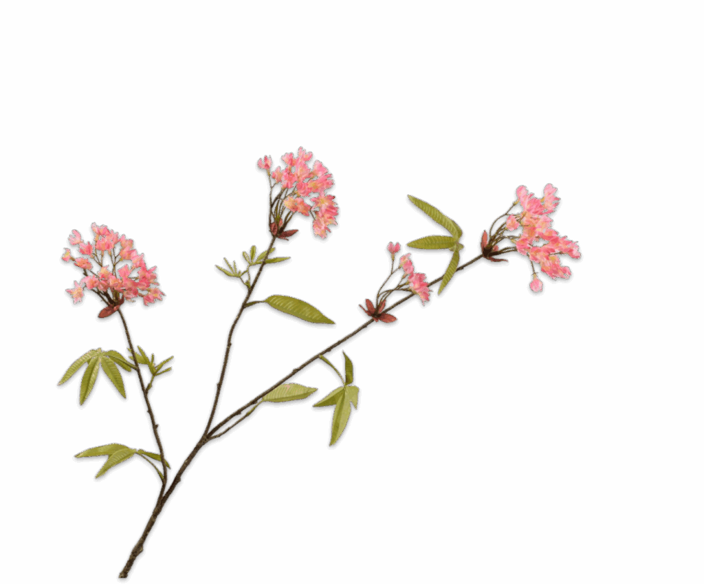 Esdoorntak Silk-ka roze