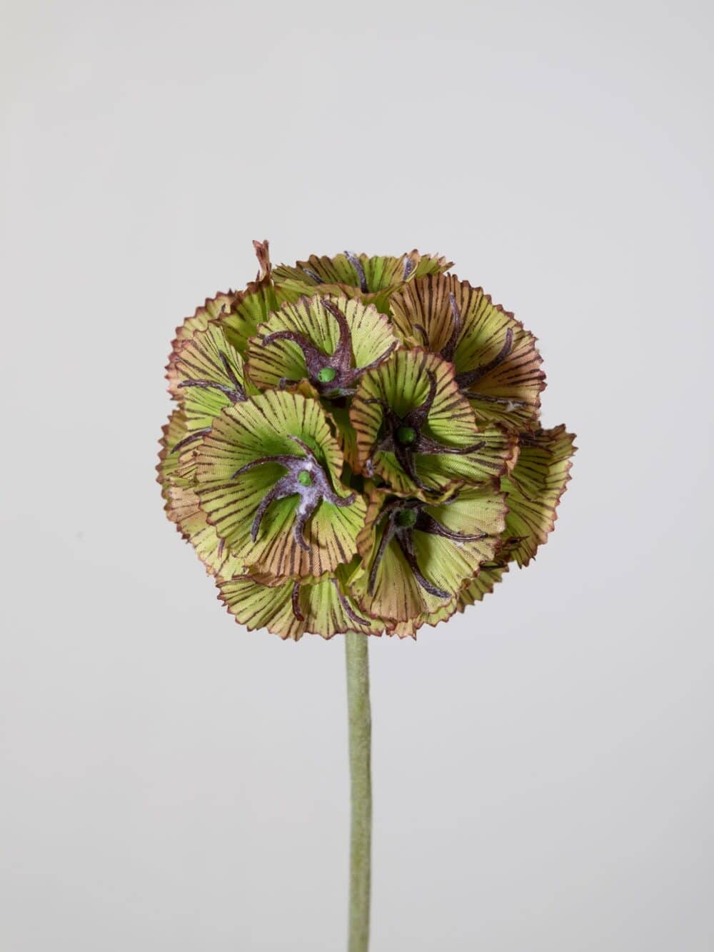 Kunsttak scabiosa bol