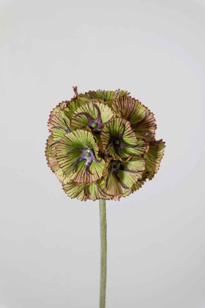 Kunsttak scabiosa bol