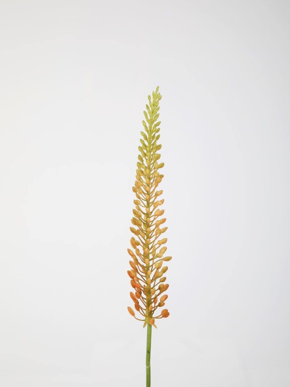 Eremures kunstbloem koraal 75 cm