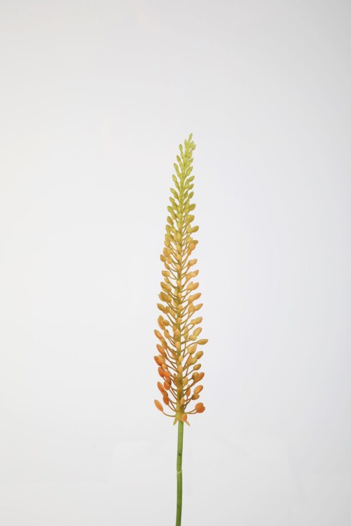 Eremures kunstbloem koraal 75 cm