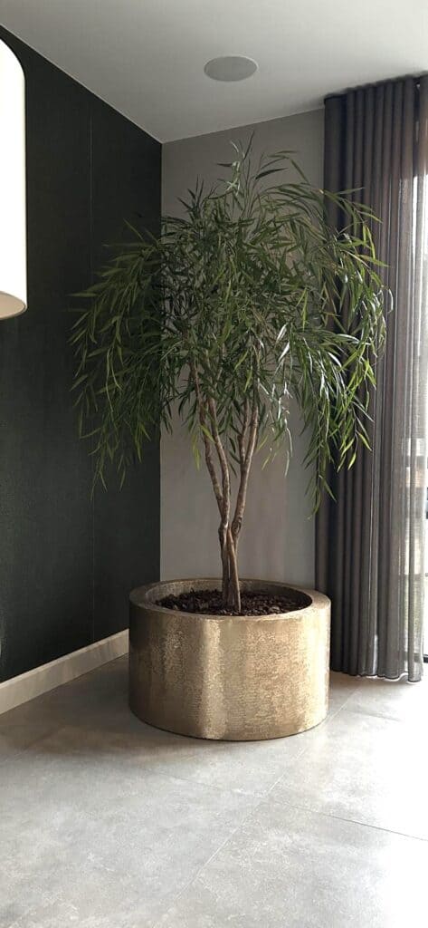 20260108_140236000_iOS