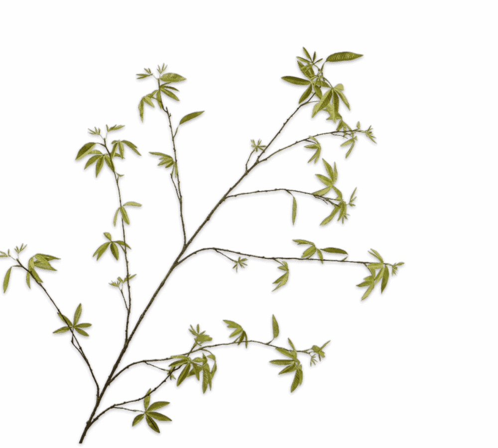 Kunsttak bladtak groen esdoorn Silk-ka 170 cm