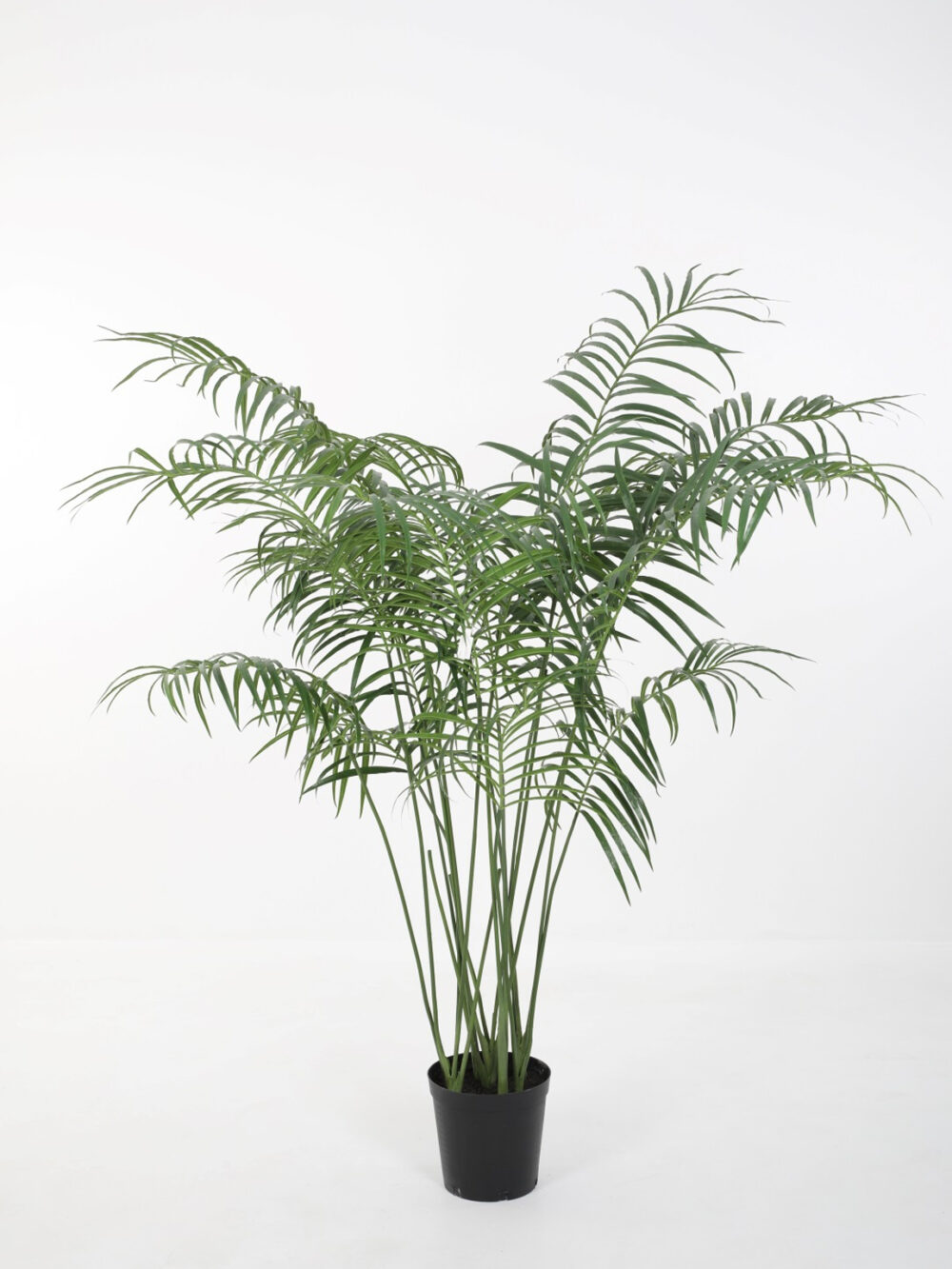 Palmboom deluxe 180 cm