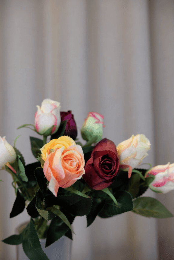75d91daa-1ea0-25a2-c874-b23eb1410d5c_mix-rozen-close.png