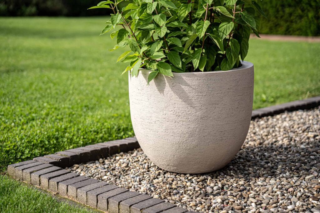 97dff34e-1c7b-9aee-72df-6667b97cc71e_terreno-new-egg-pot-sand-4-scaled-1.jpg