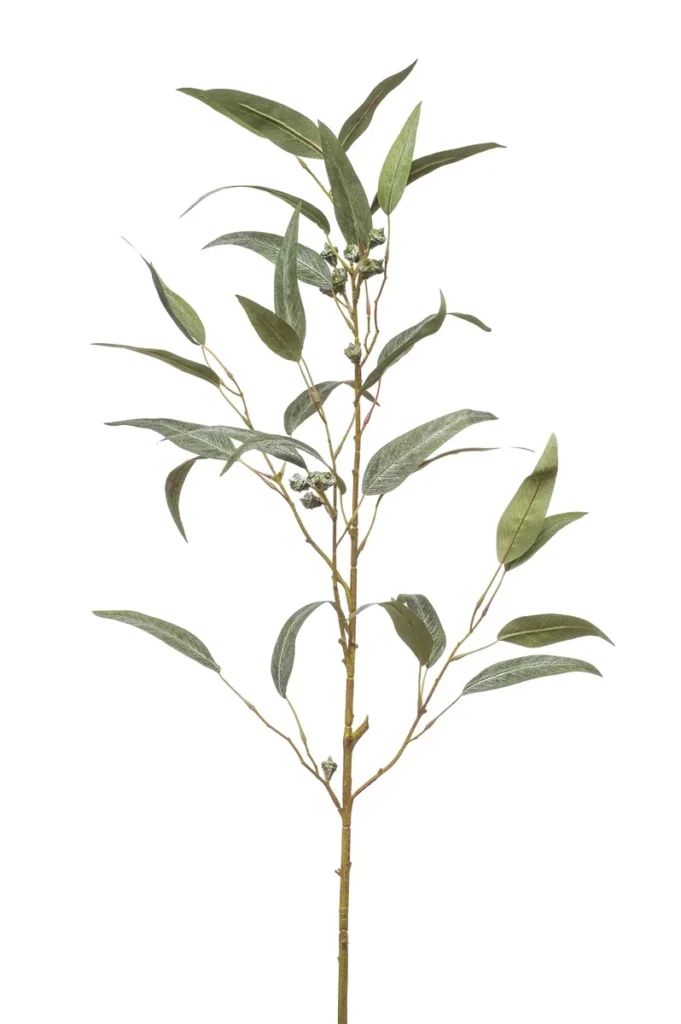 Eucalyptus tak besjes 90 cm