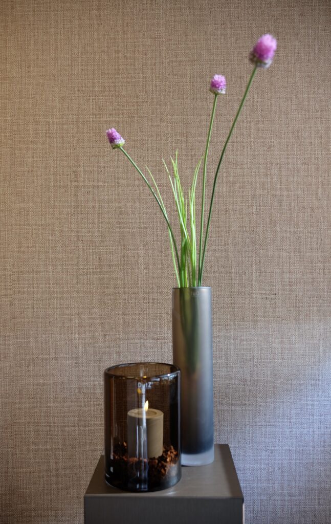 Allium vertakt