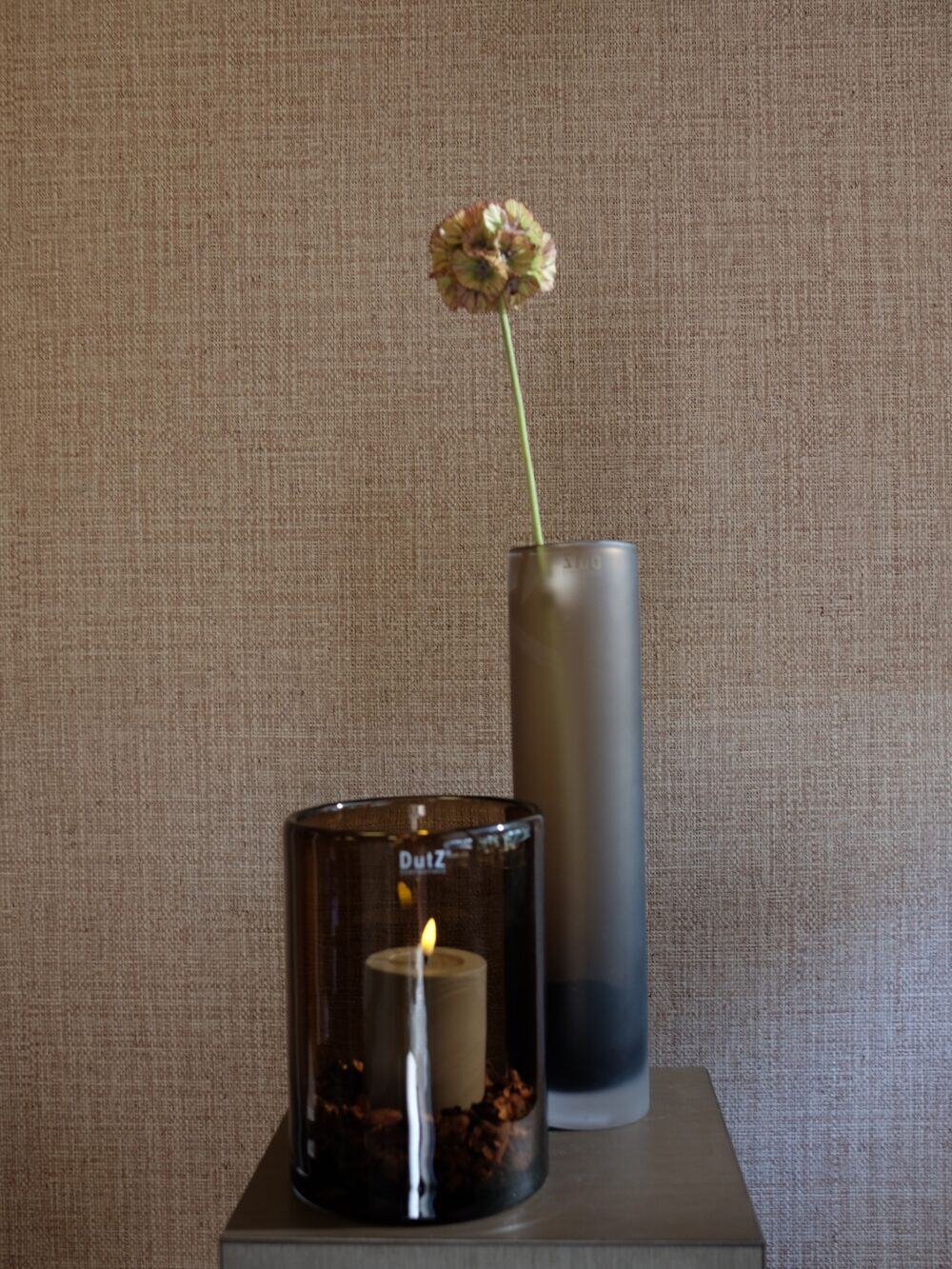 Scabiosa kunsttak