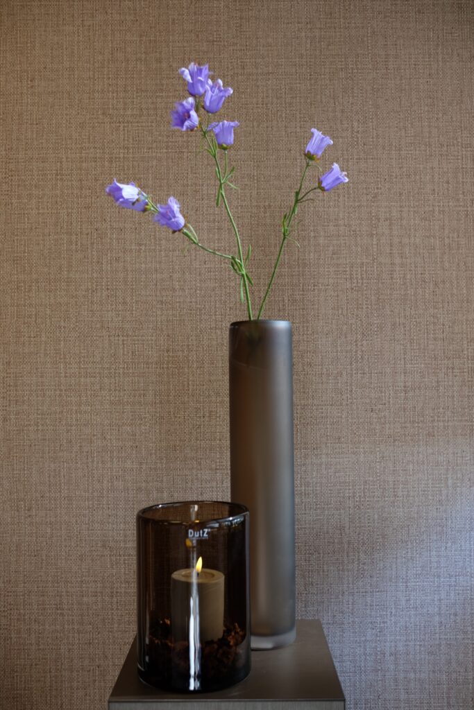 Campanula