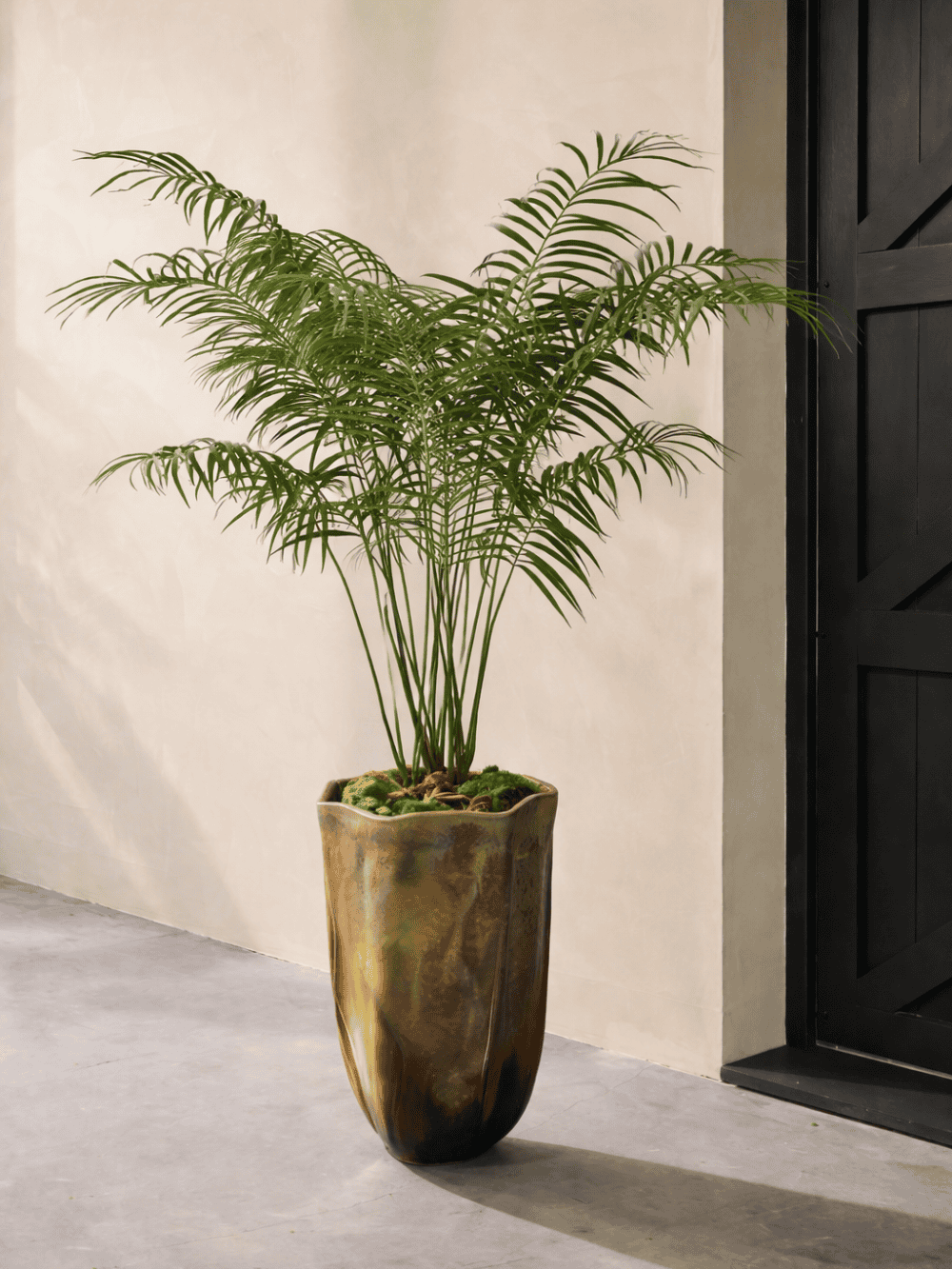 Palmboom deluxe 180 cm