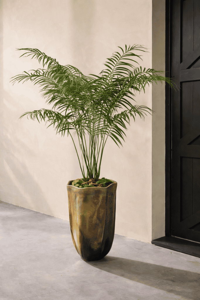 Palmboom deluxe 180 cm