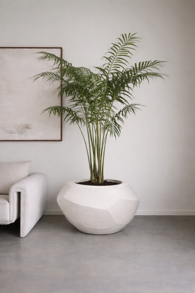 Palmboom deluxe 180 cm