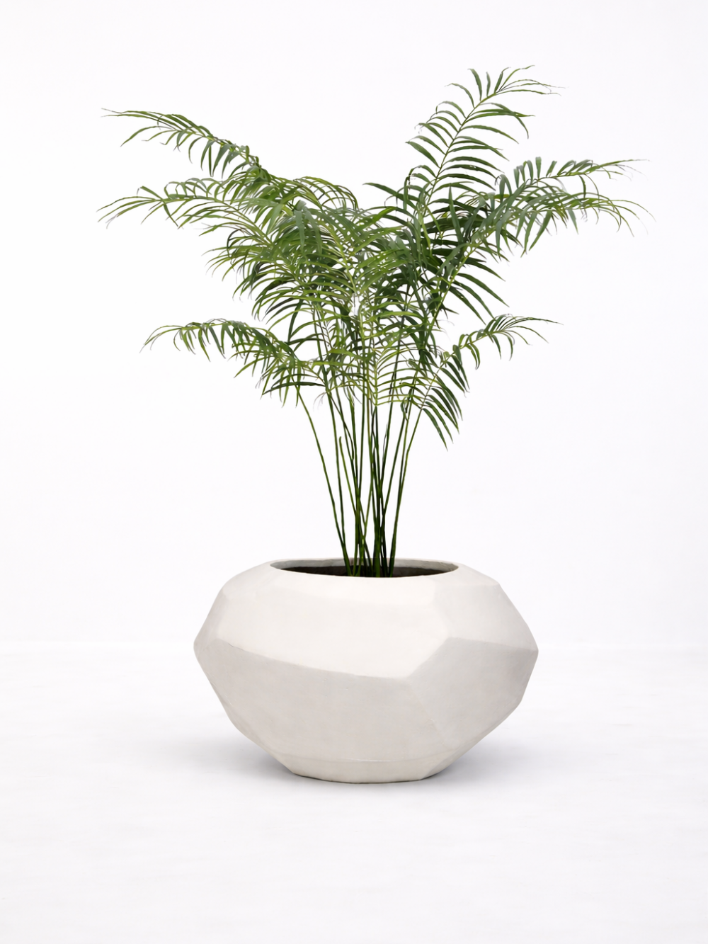 Palmboom deluxe 180 cm