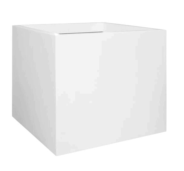 e19e8264-6126-adfc-ad39-4e00caf754b7_1076.png