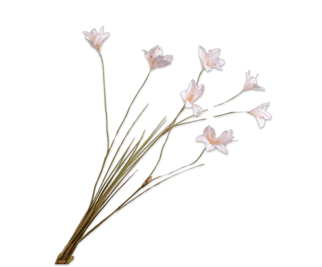 Lelie tak crème Silk-ka 94 cm