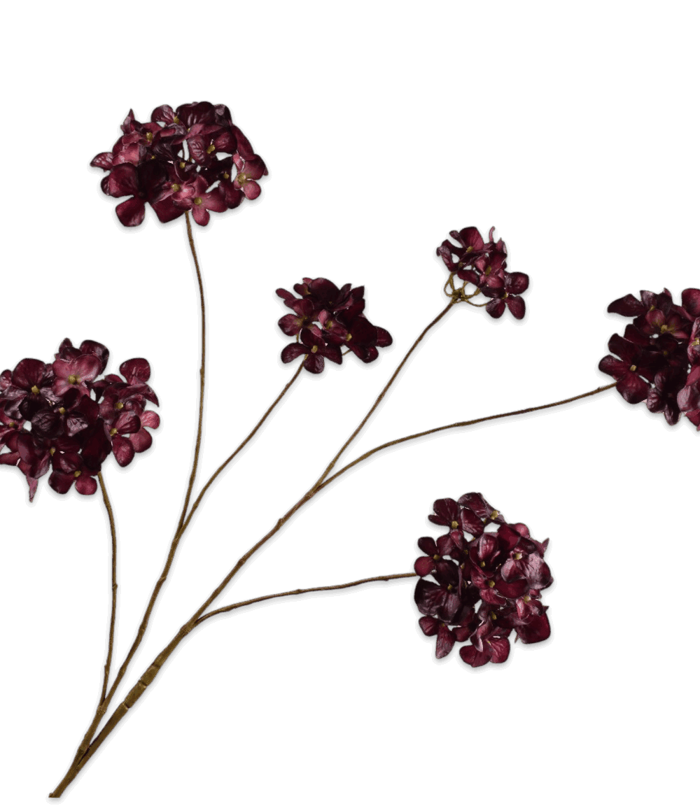 HORTENSIA TAK BORDEAUX Silkka