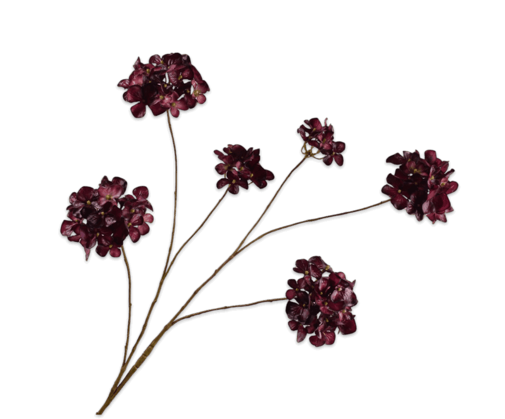HORTENSIA TAK BORDEAUX Silkka