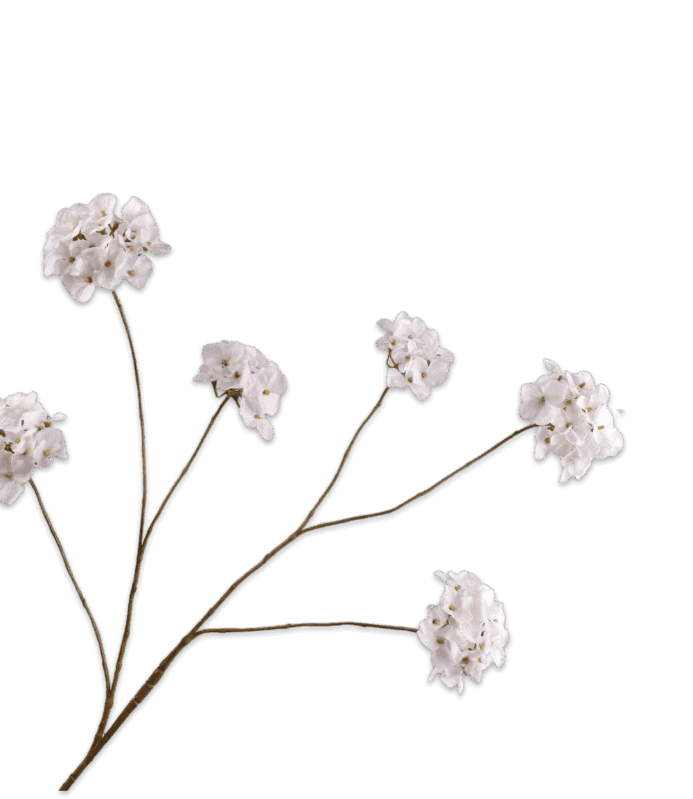 Silk-ka hortensia tak crème