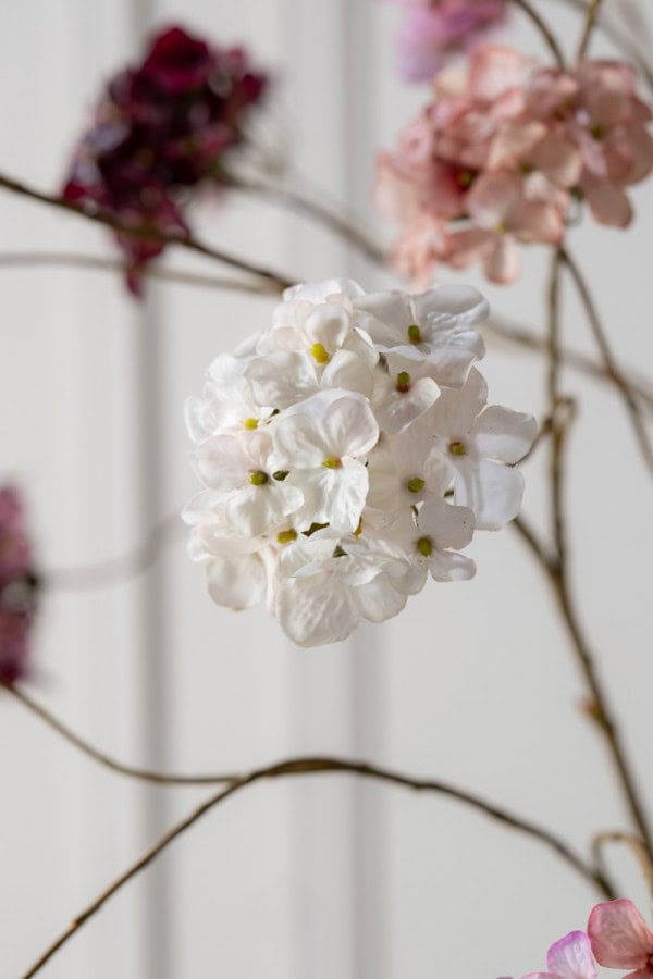 Silk-ka hortensia tak crème