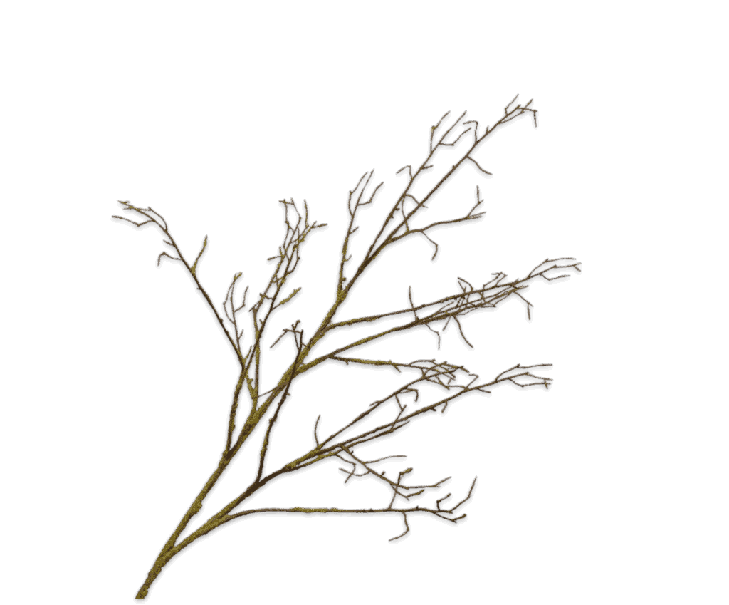 houttak groen Silk-ka 107 cm