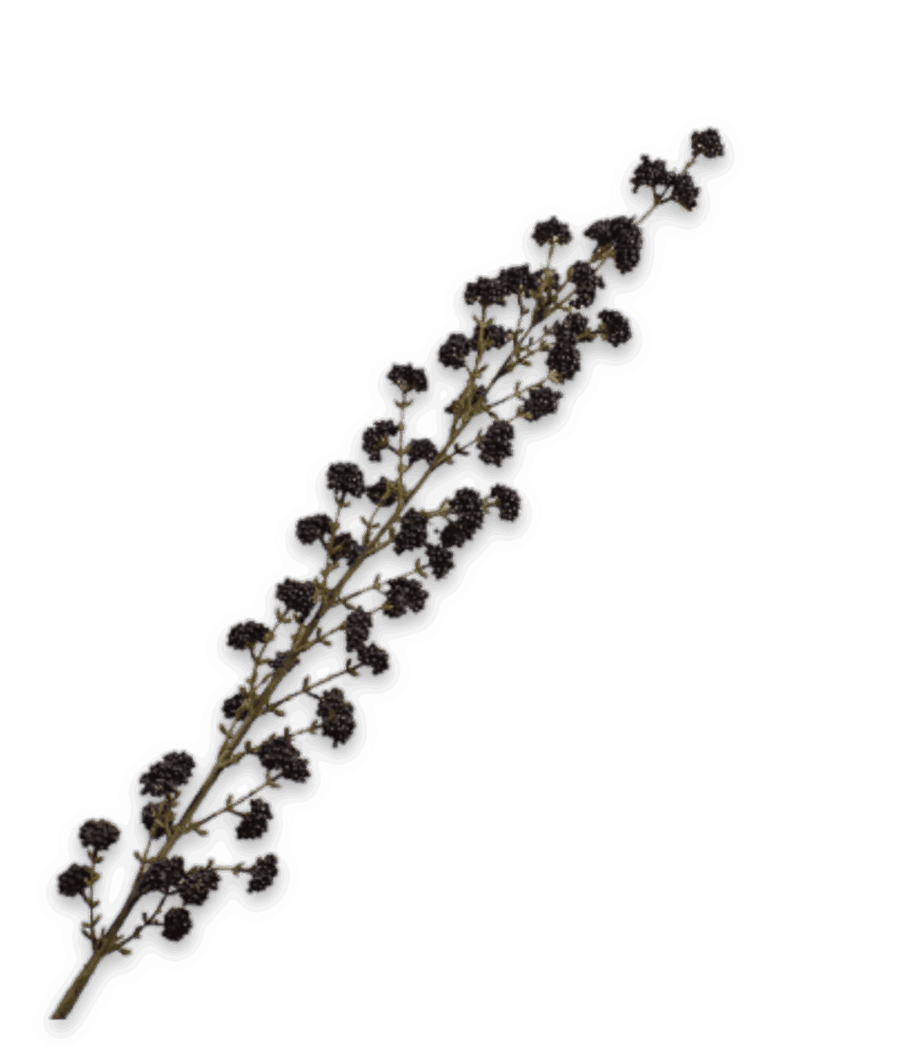Silk-ka Callicarpa kunsttak zwart 120 cm