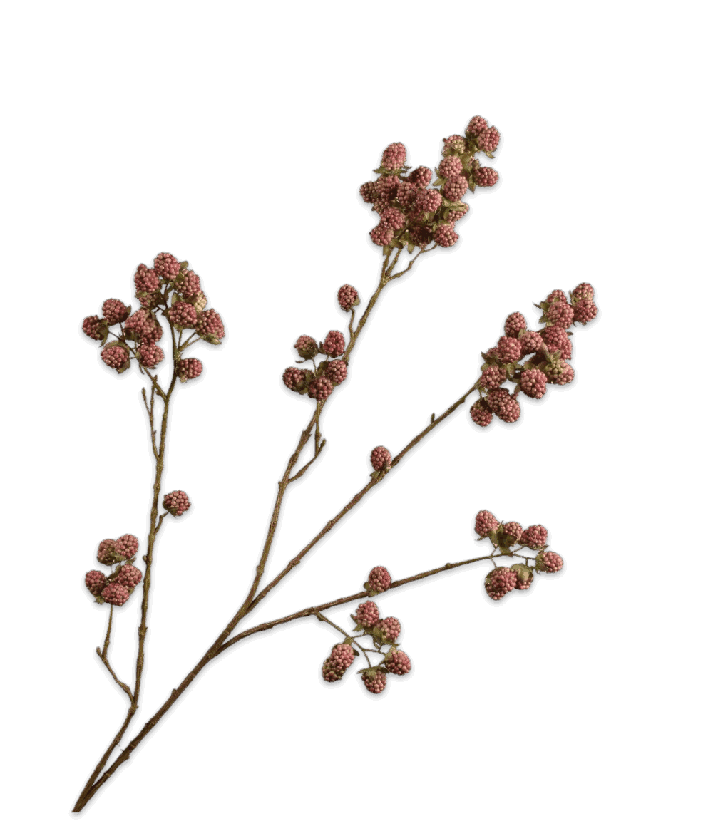 Silk-ka bramentak mauve paars